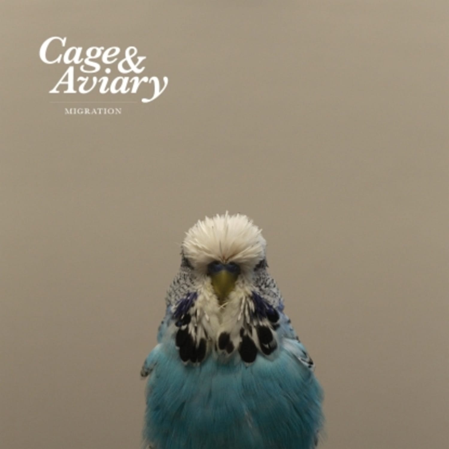 Cage & Aviary - Migration : 2LP