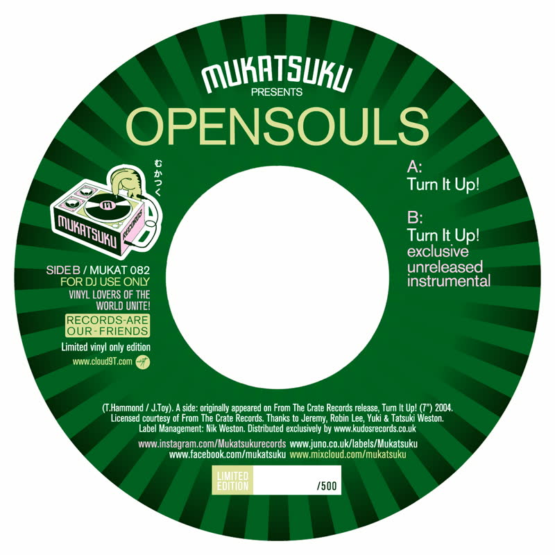 Opensouls - Turn It Up! : 7inch