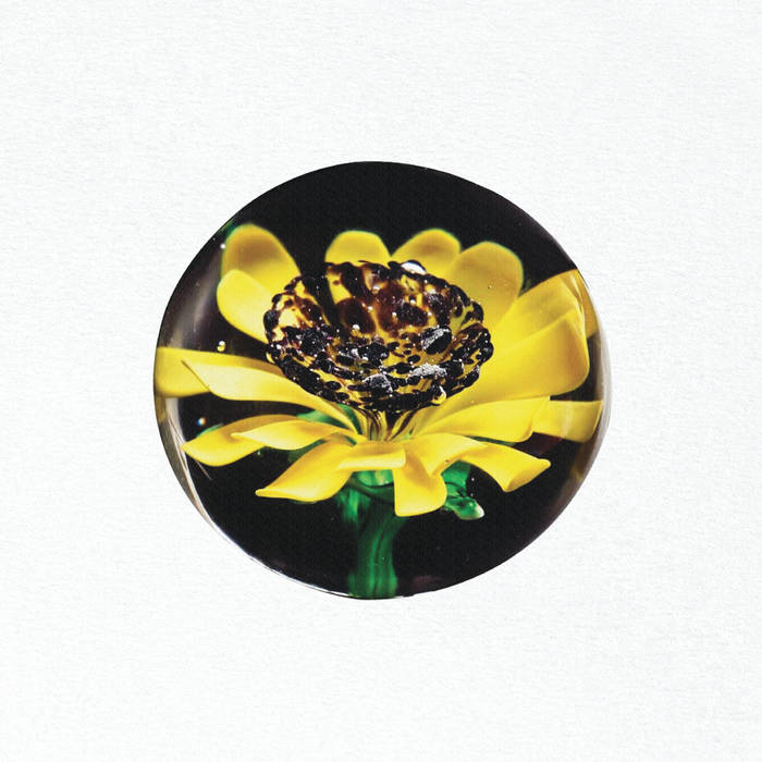Sunflower Aquarium - Untitled : LP