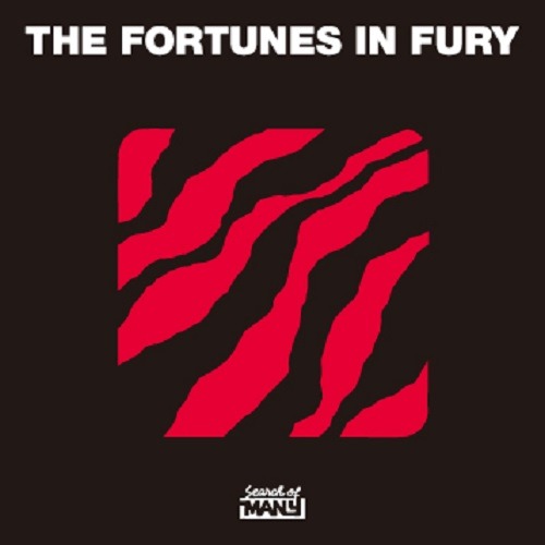 The Fortunes In Fury - The Fortunes In Fury : MIXCD