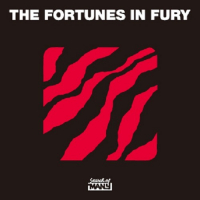 The Fortunes In Fury - The Fortunes In Fury