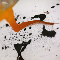 Toshiya Tsunoda - Landscape and Voice
