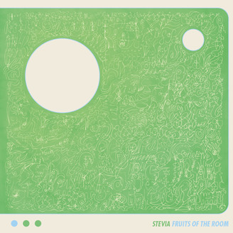 Stevia / Susumu Yokota - Fruits of the Room : 12inch×2