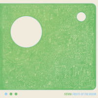 Stevia / Susumu Yokota - Fruits of the Room