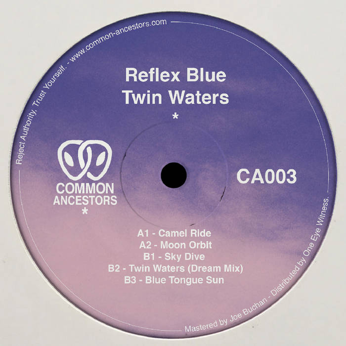 Reflex Blue - Twin Waters : 12inch