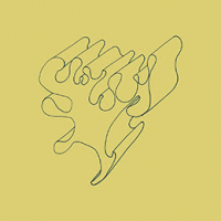 Rhodri Davies - DWA DNI