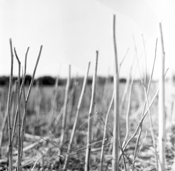 Recondite - On Acid  (2022 Repress) : 2LP