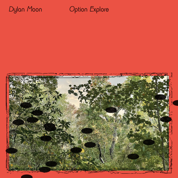 Dylan Moon - Option Explore : LP