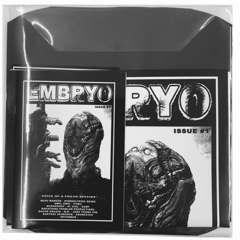 Various - Embryo Issue #1 - : 12inch+ZINE