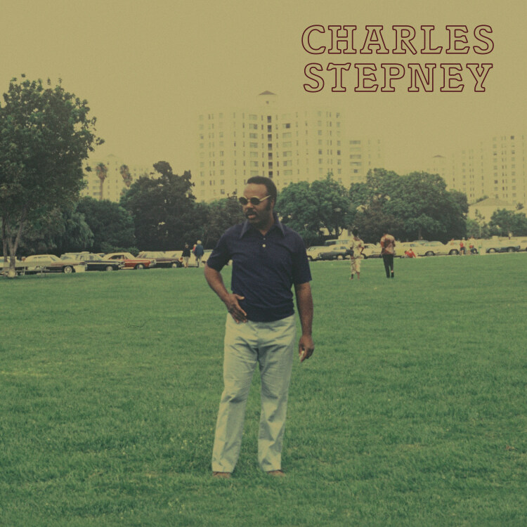 Charles Stepney - Step On Step : 2LP