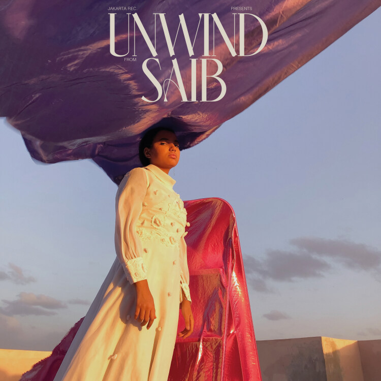 Saib - Unwind (LP+MP3) : LP＋DL