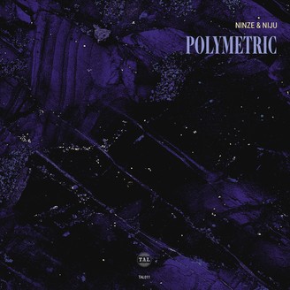 Ninze & Niju - Polymetric EP : 12inch