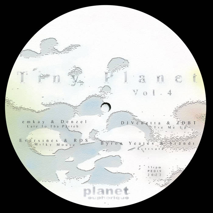 Various Artists - Tiny Planet Vol. 4 : 12inch