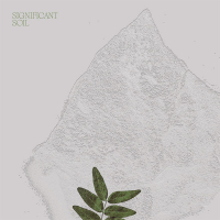 Mister Water Wet - Significant Soil