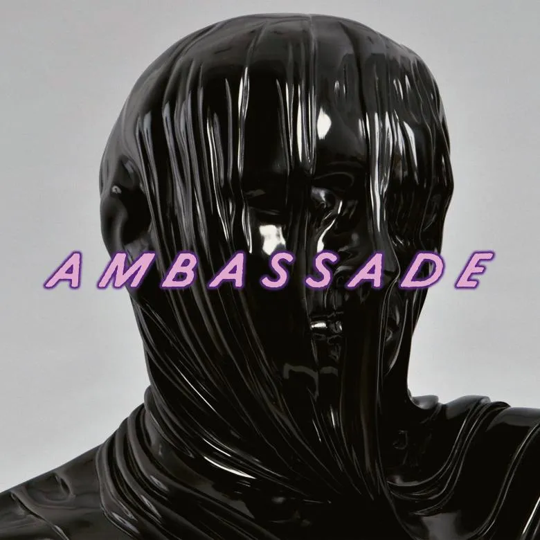 DE AMBASSADE - Young Birds : 12inch