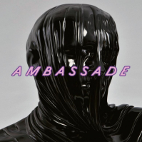 DE AMBASSADE - Young Birds