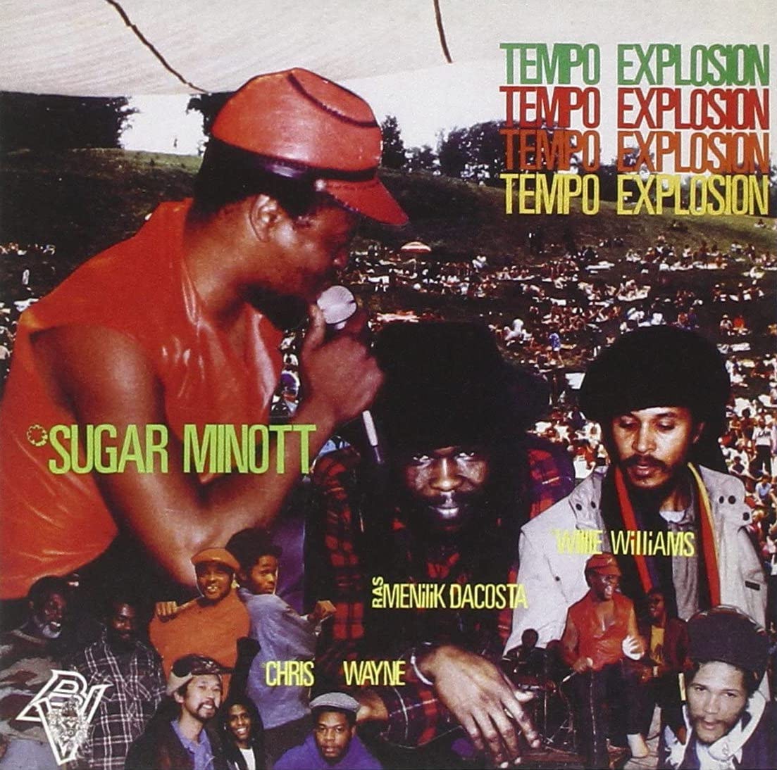 Various - Tempo Explosion : LP
