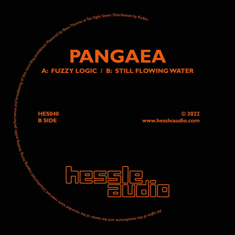PANGAEA - Fuzzy Logic / Still Flowing Water : 12inch