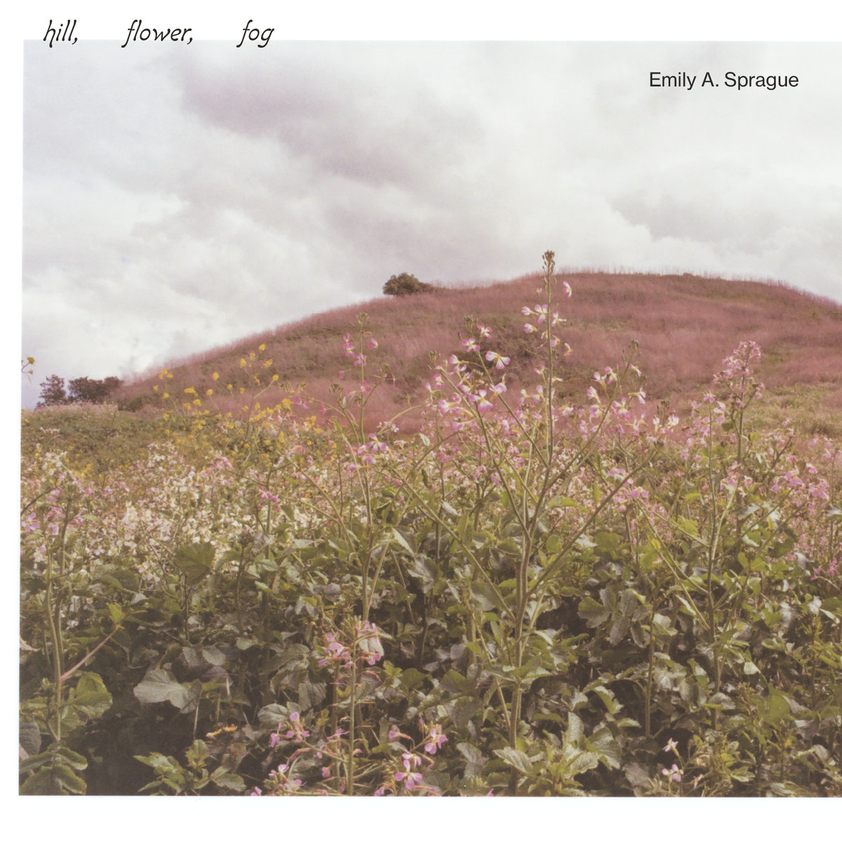 Emily A. Sprague - Hill, Flower, Fog  (Foggy White Vinyl LP) : LP