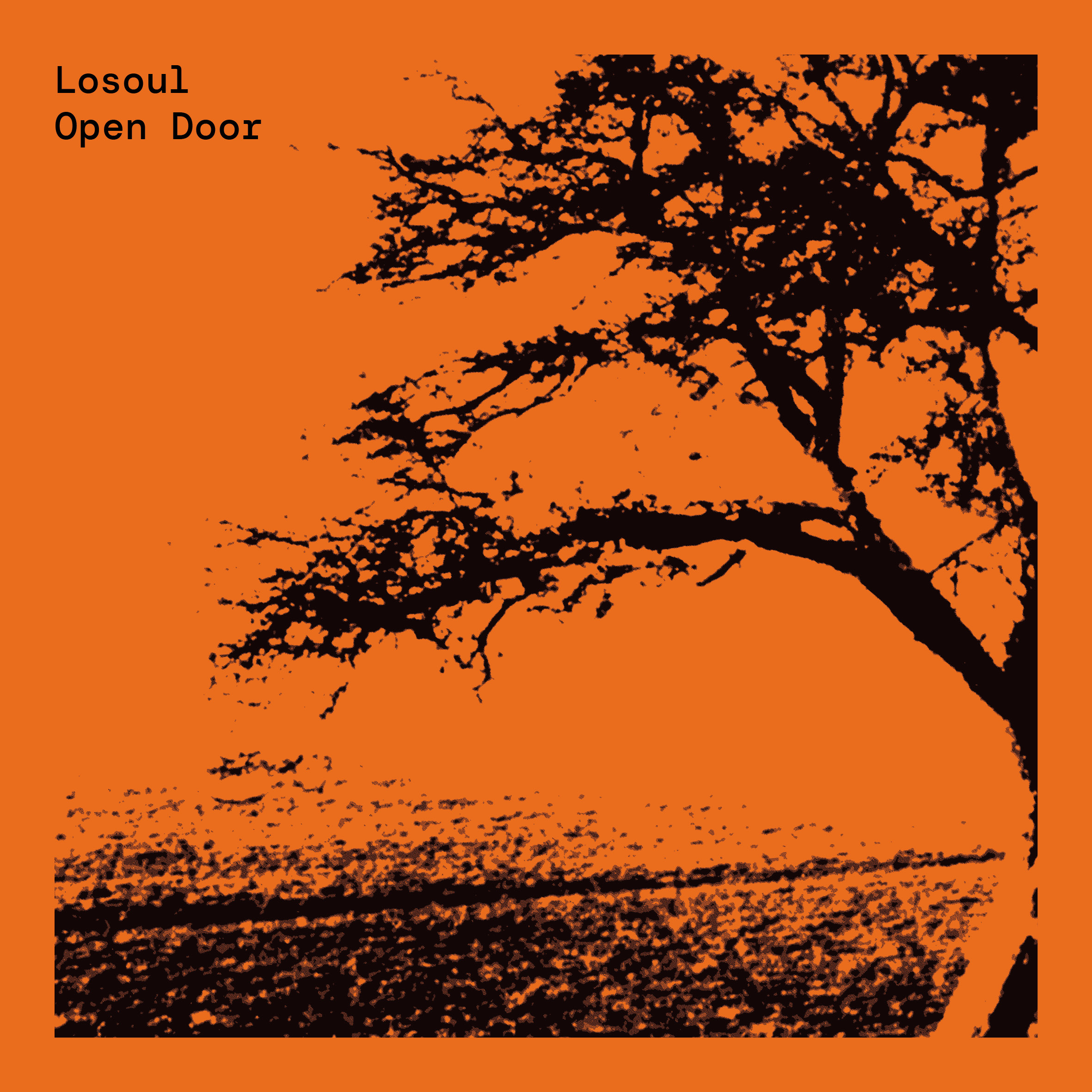 LoSoul - Open Door : 2x12inch