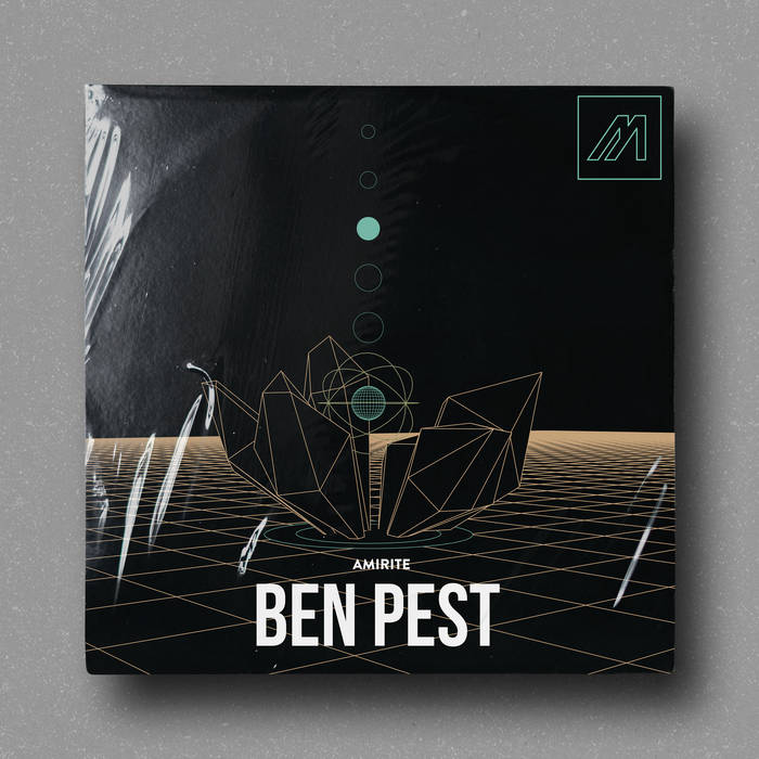 Ben Pest - Amirite : 12inch