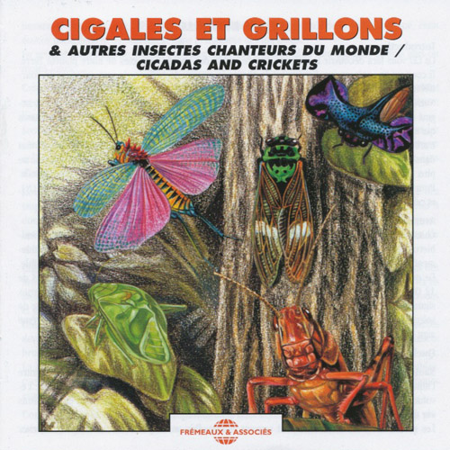 Jean Claude Roche - Cigales Et Grillons & Autres Insectes Chanteurs Du Monde : CD