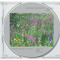 Kazufumi Kodama & Undefined - 2 Years / 2 Years in Silence