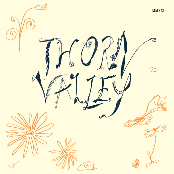Various Artists - Thorn Valley : 2x12inch