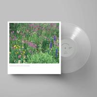 Kazufumi Kodama & Undefined - 2 Years / 2 Years in Silence