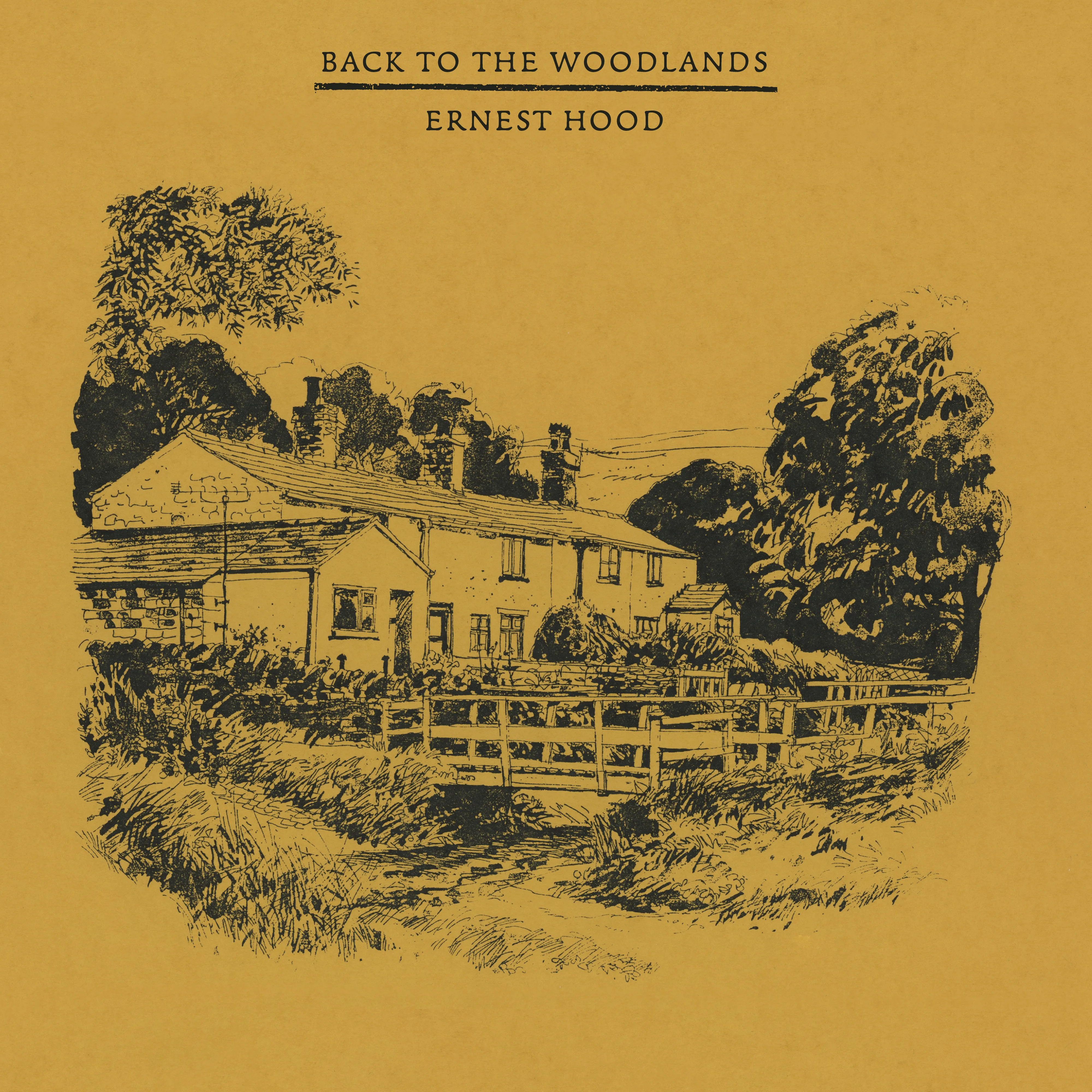 ERNEST HOOD - Back To The Woodlands : LP (Black)+DL