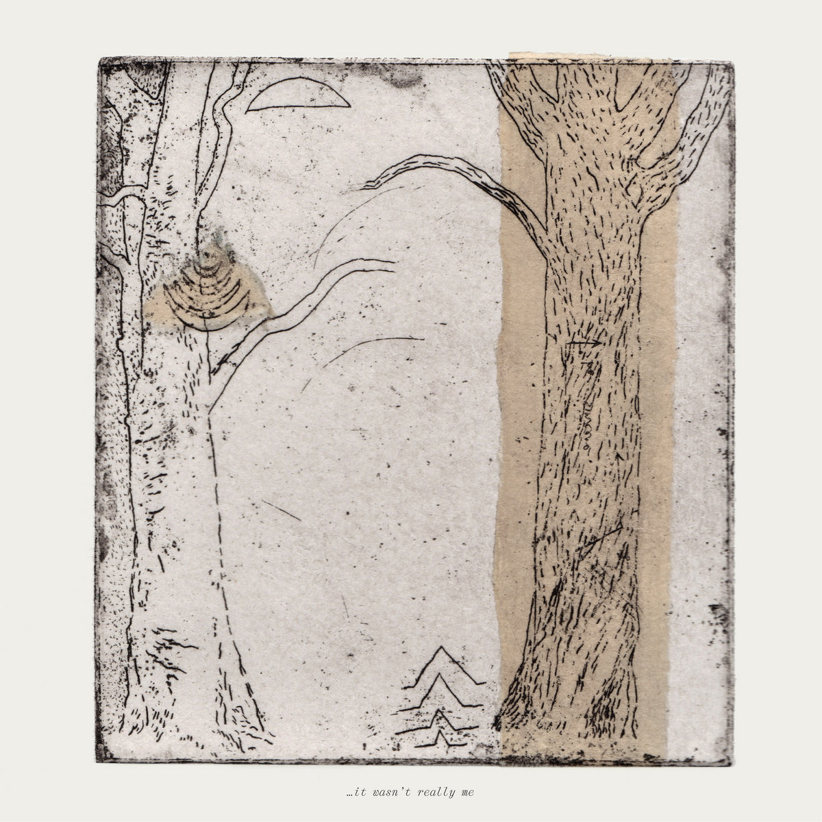 Various Artists - ...it wasn't really me : LP