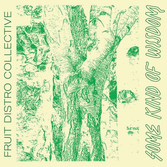 Fruit Distro Collective - Some Kind Of Wisdom : LP