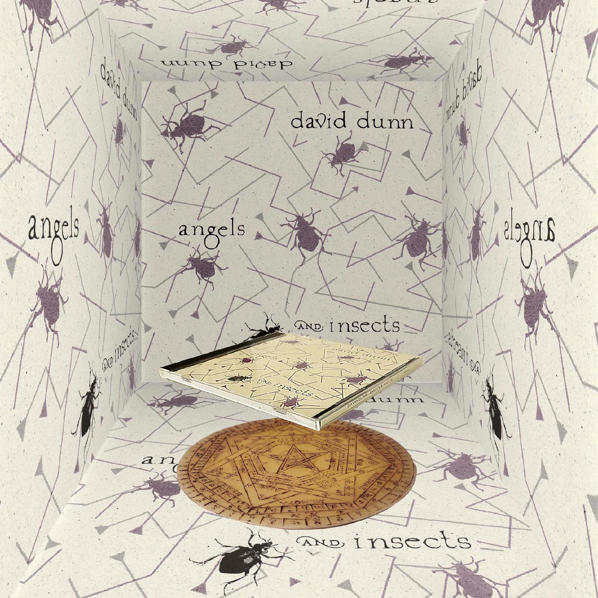 David Dunn - Angels and Insects​（​天​使​と​昆​虫​） : CD