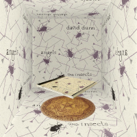 David Dunn - Angels and Insects​（​天​使​と​昆​虫​）