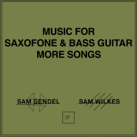 Sam Gendel & Sam Wilkes - Music For Saxofone & Bass Guitar More Songs