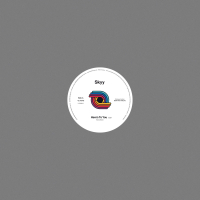 Skyy - Here To You / You Got Me Up