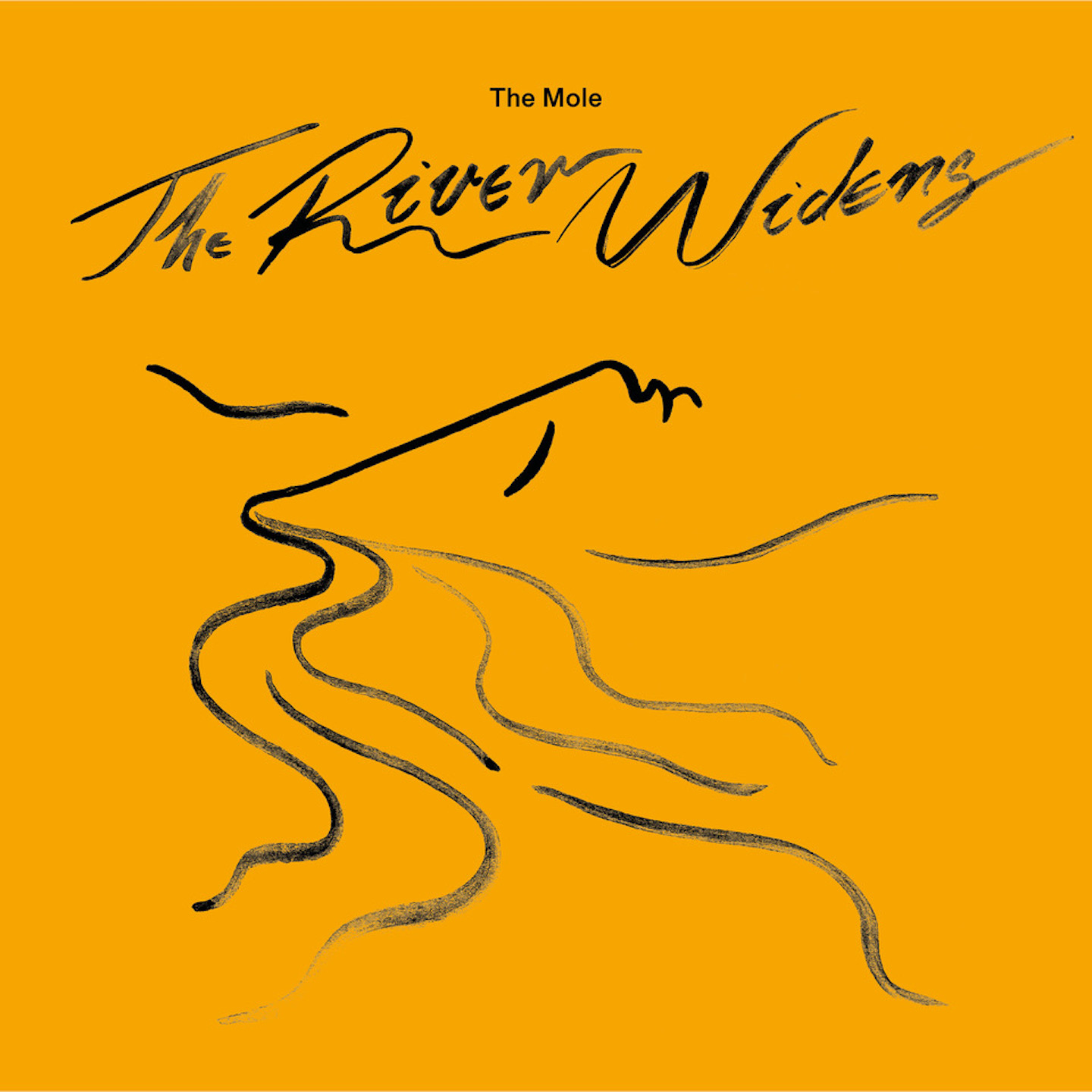 The Mole - The River Widens (Cassette) : TAPE