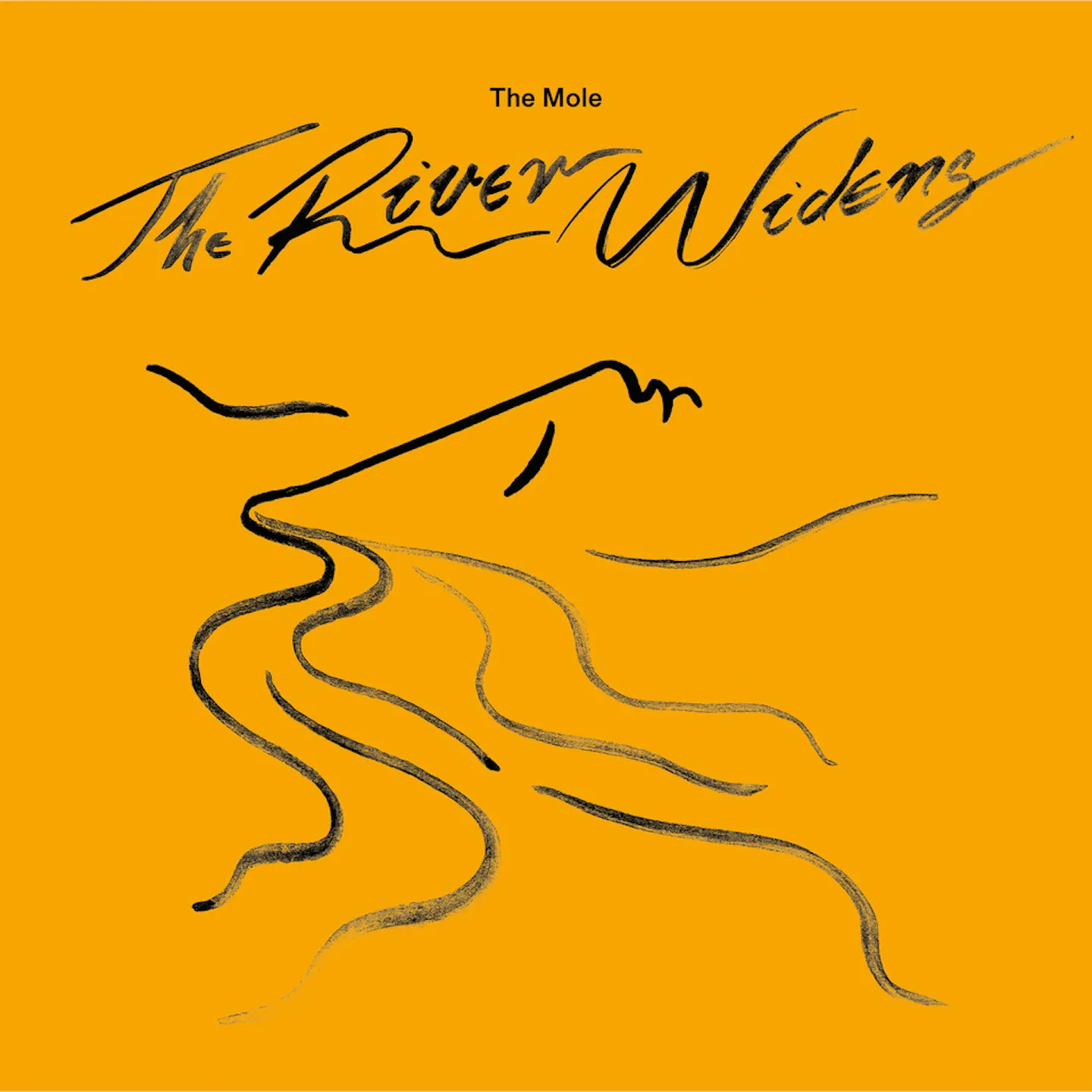 The Mole - The River Widens : 2LP+DL