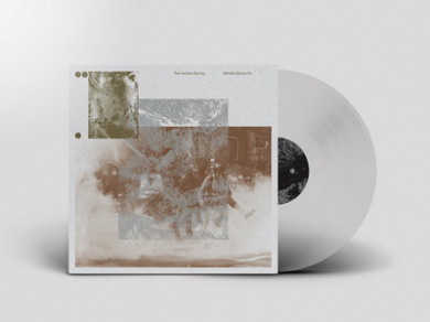 The Vernon Spring / What's Going On レコード n_t0104161_390.jpg