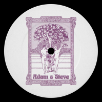 ADAM & STEVE - 1