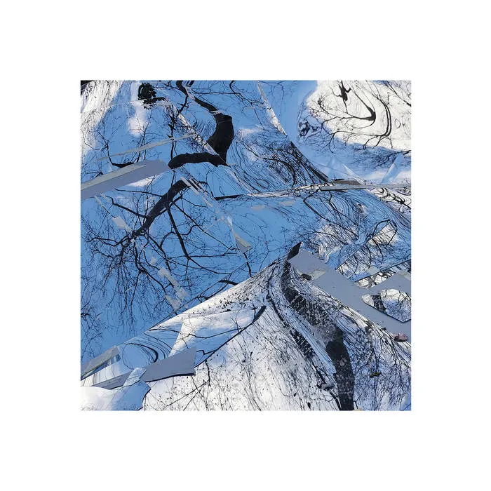 Flore - Legacy & Broken Pieces : 12inch
