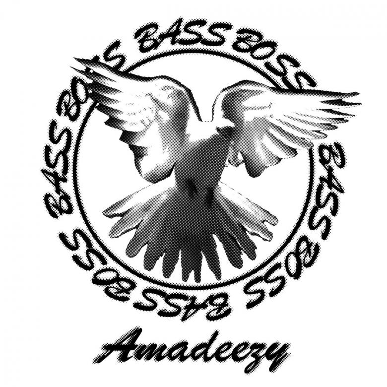 Amadeezy - Bass Boss : 12inch Full Sleeve