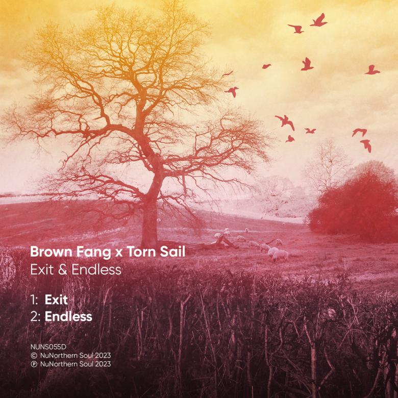 Brown Fang / Torn Sail - Exit & Endless : 7inch