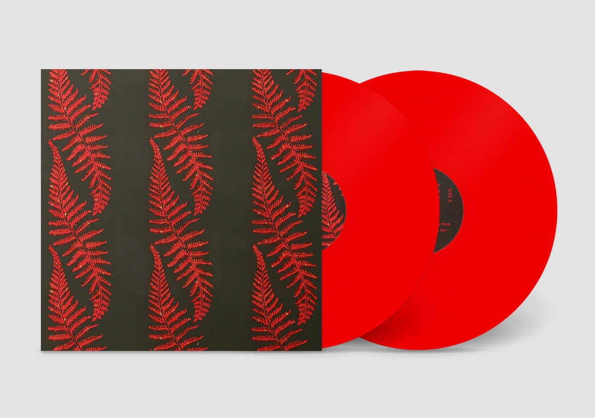 Jako Maron - The Electro Maloya Experiments Of Jako Maron : 2LP(red)