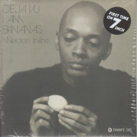 Weldon Irvine - Deja Vu