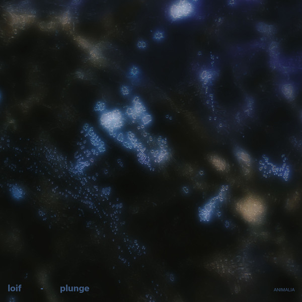 LOIF - Plunge : 12inch