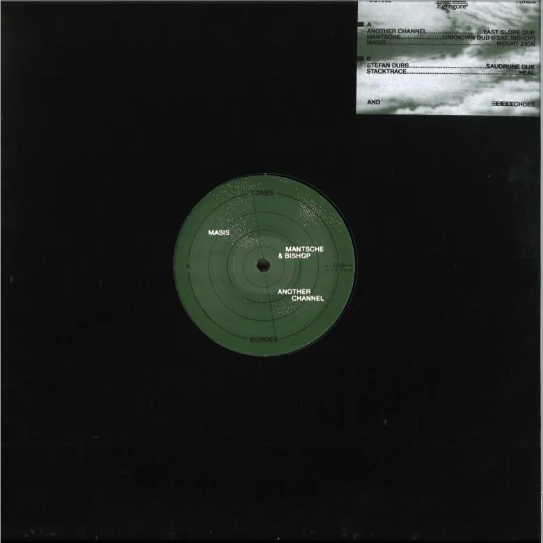 Various - Tones And Echoes : 12inch