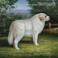 Douglas McCombs - VMAK<KOMBZ<<<DUGLAS<<6NDR7<<<