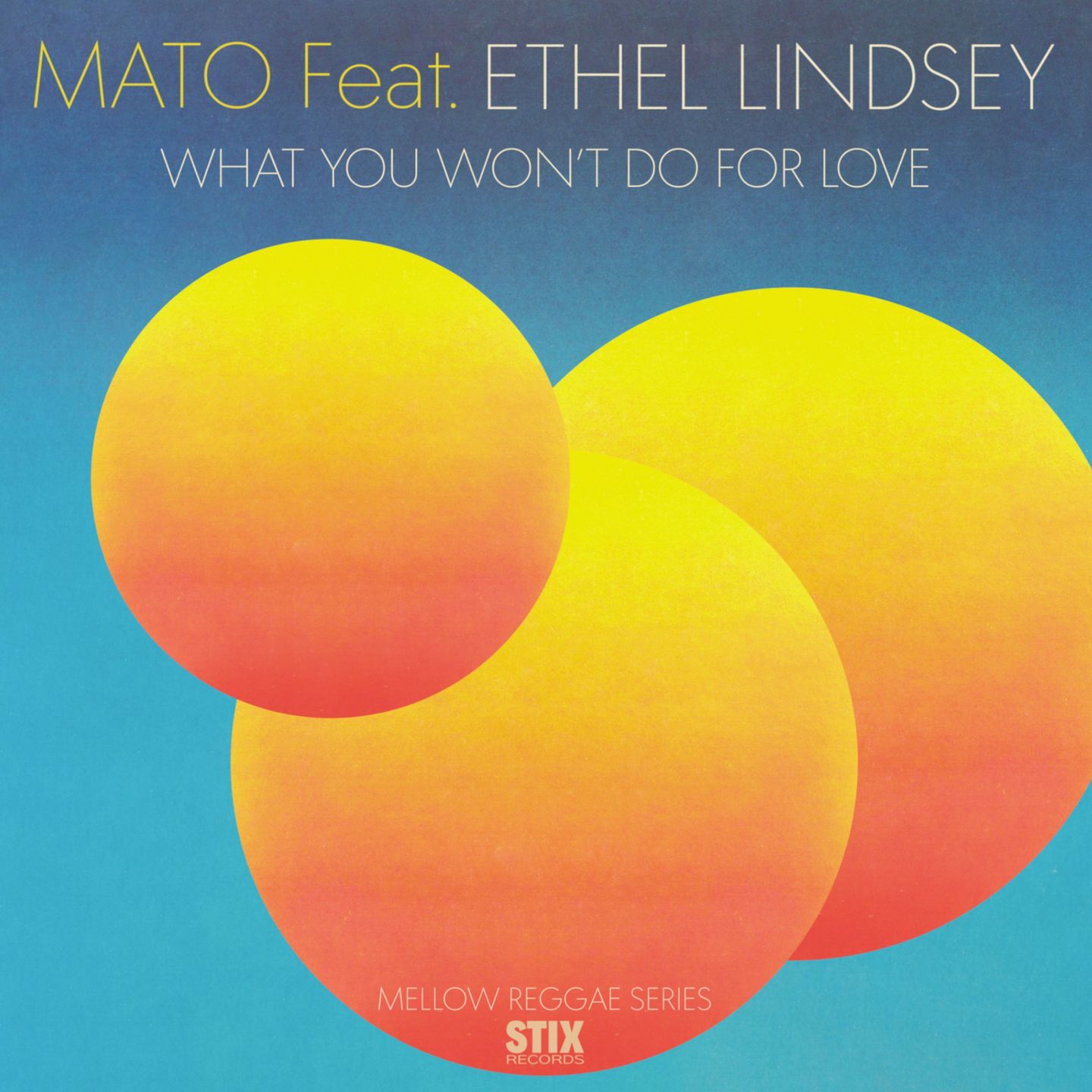 Mato feat. Ethel Lindsey - What You Won't Do For Love : 7inch