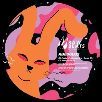 Various Artists-Rawbeats Extrasensorial 001.02
